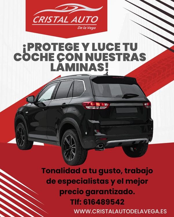 Laminado de Lunas Cristal Auto de la Vega